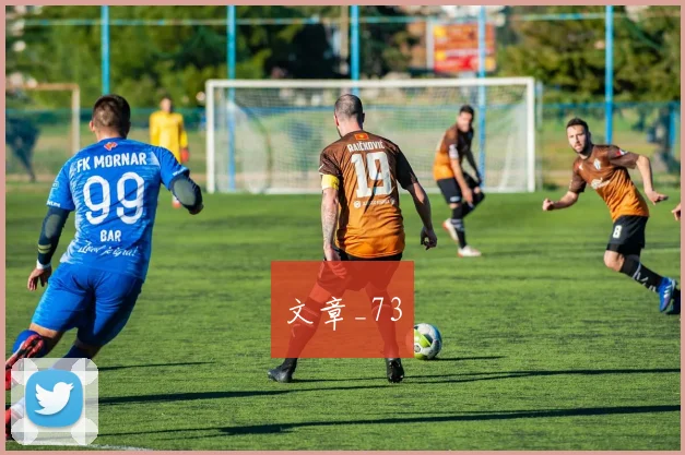 文章_73