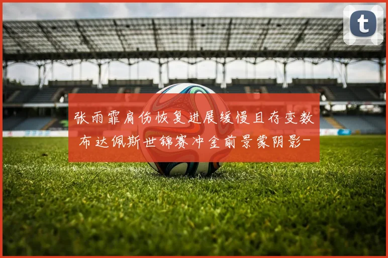 张雨霏肩伤恢复进展缓慢且存变数 布达佩斯世锦赛冲金前景蒙阴影