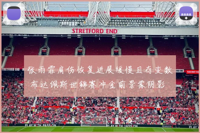张雨霏肩伤恢复进展缓慢且存变数 布达佩斯世锦赛冲金前景蒙阴影